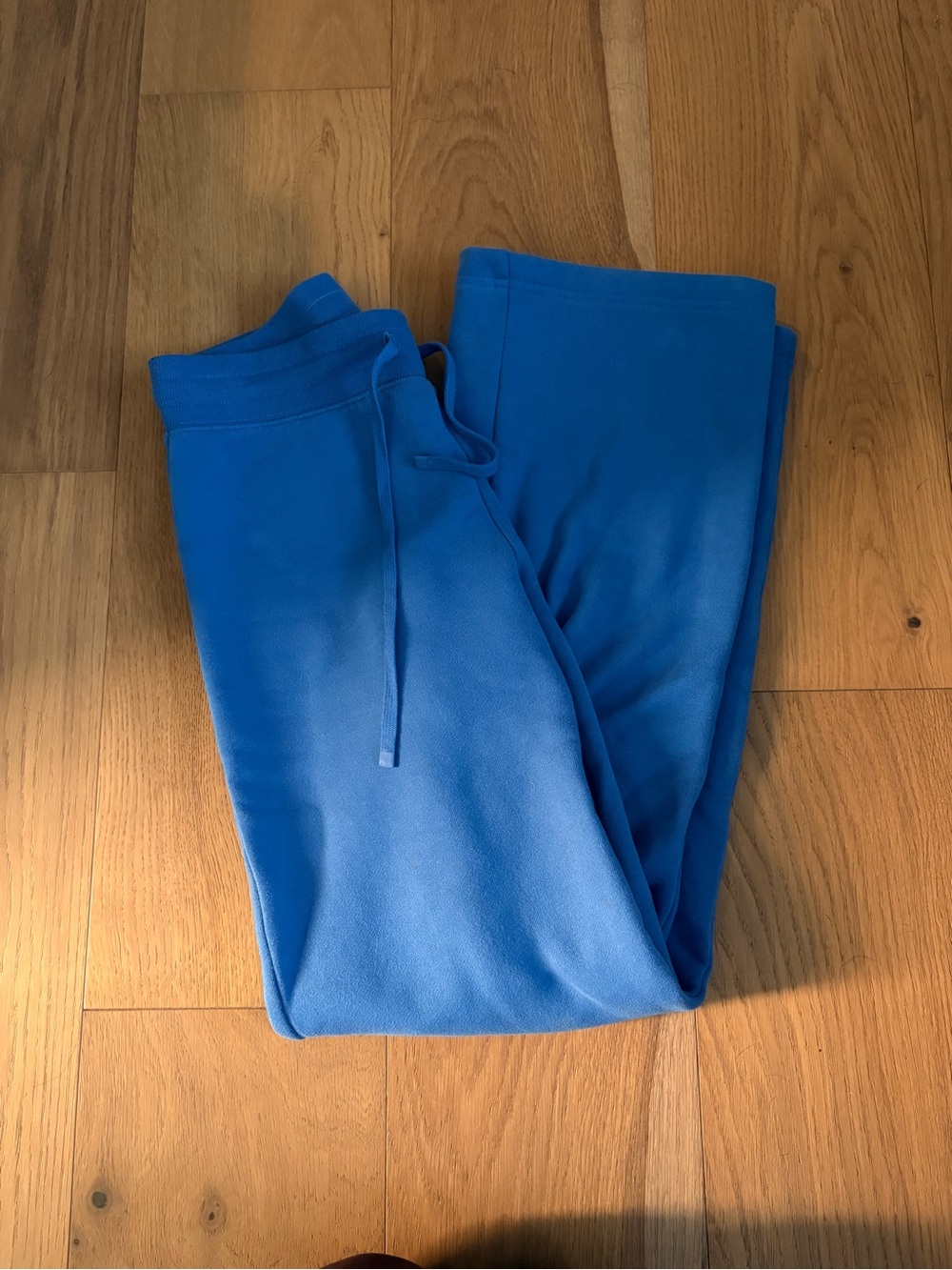 Aritzia Electric Blue sweat pants